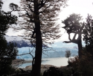 Outra visão do Perito Moreno ... tem que buscar ...