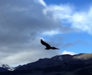 Condor dos Andes recepcionando os Gaudérios ...