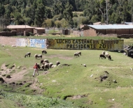 Os vilarejos e os rebanhos dos andinos.